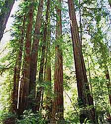Attractions Nearby San Francisco