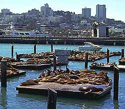 San Francisco Landmarks and Monuments