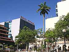 Downtown picture