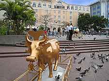 Plaza of the Culture picture (Plaza de la Cultura)