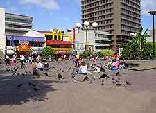 Image taken in the Plaza de la Cultura