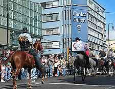 Further picture of horse parade