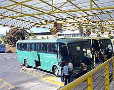 Image of airport buses