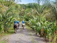 Turu Ba Ri Tropical Park image