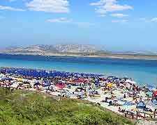 Picture of summer holiday makers on Spiaggia della Pelosa Beach