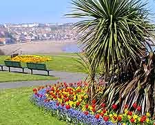 Summer photo of cliff top gardens