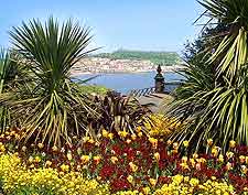 Further image of the colourful gardens on the cliff tops