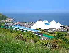 Sealife and Marine Sanctuary picture
