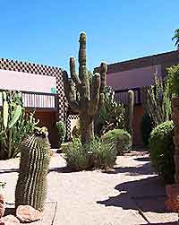 Scottsdale Cactus Garden