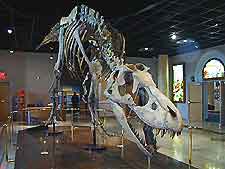 Scottsdale Mesa Museum