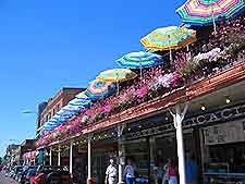 Seattle Dining3