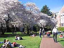 Seattle University Wa2