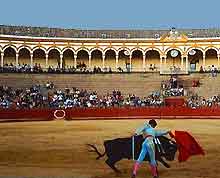Seville Sports and Outdoor Activities