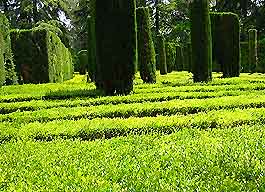 Seville Parks and Gardens