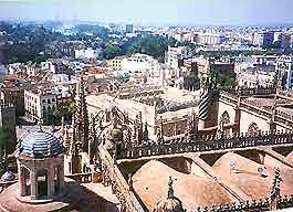 Seville Business Tips