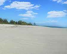 Picture of sandy beachfront on Bird Island