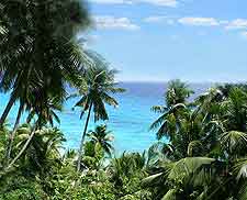 Tropical picture of palm trees on Fregate