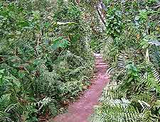 Image of the Veuve Reserve on La Digue Island