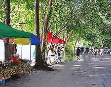 Photo of market stalls on Mahe Island, Seychelles