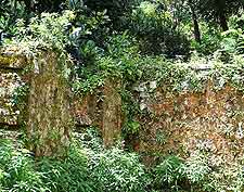 Photograph showing the ruins of the Mission Lodge in Mont Fleuri, Mahe