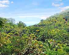 Photo taken at the Vallee de Mai Nature Reserve, Praslin Island, Seychelles