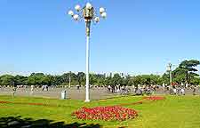 Photo of central park in the summer