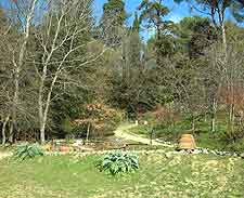 Photograph taken at the Orto Botanico (Botanical Gardens)