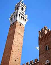Photo of the hard-to-miss Torre del Mangia