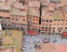 Picture taken from the top of the Torre del Mangia