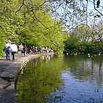 Dublin Parks and Gardens