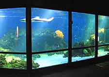 Photo of the Aquaria Vattenmuseum (Aquarium)