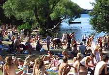 Picture of the city beachfront