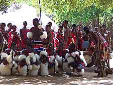 Photo of local dance festival in Swaziland