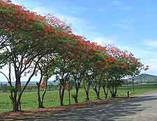 Photo of Swaziland road