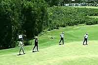 Brisbane Golf Courses
