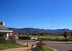 Sydney Vineyards and Wines