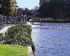 Sydney Parks and Gardens