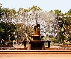 Sydney Parks and Gardens