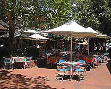Sydney Restaurants and Dining