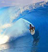 Melbourne Sports and Outdoor Activities