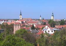 Photo of the Szarvas skyline