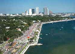 Tampa Coastline