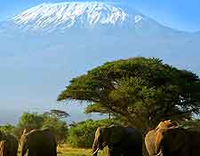 View of the mountain from a distance, with elephants in the foreground
