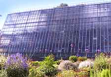 Image of the University Botanical Gardens (Botaanikaaed)