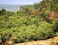 View of the Kiang West National Park