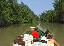 View of boat cruising down the river