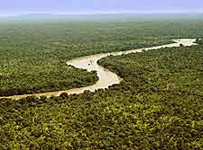 Panoramic picture of the River Gambia National Park