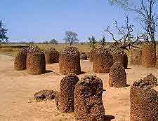 Wassu Stone Circles photograph