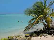 Buccoo Reef view
