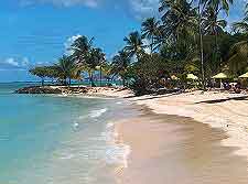 Pigeon Point picture of the beach and adjoining palm trees